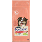 Сухой корм Dog Chow® для взрослых активных собак, с курицей - фото 6798
